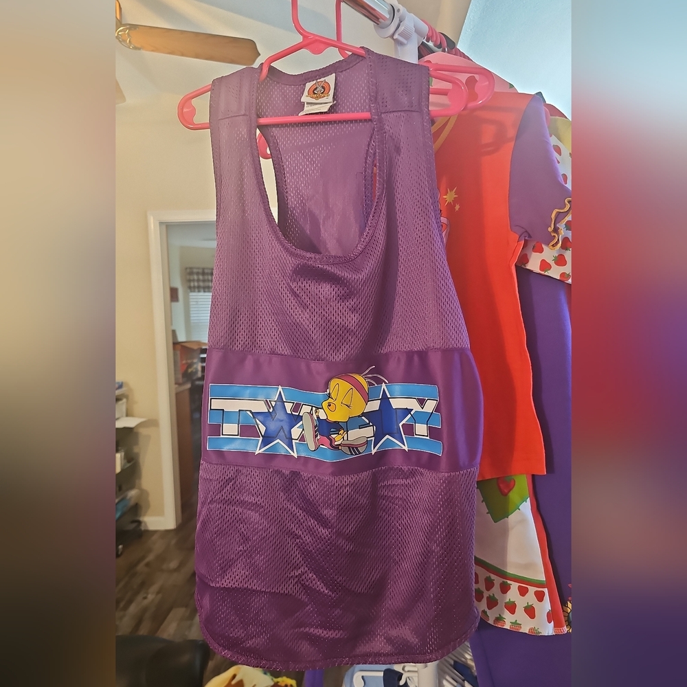 Y2k Warner Brothers Store, Purple tweet bird shirt. Size S.